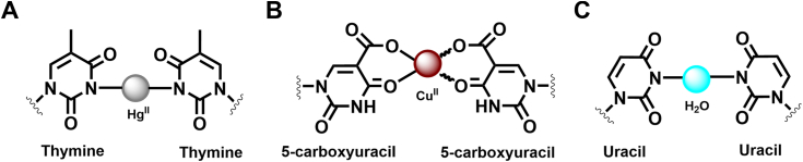 Figure 5