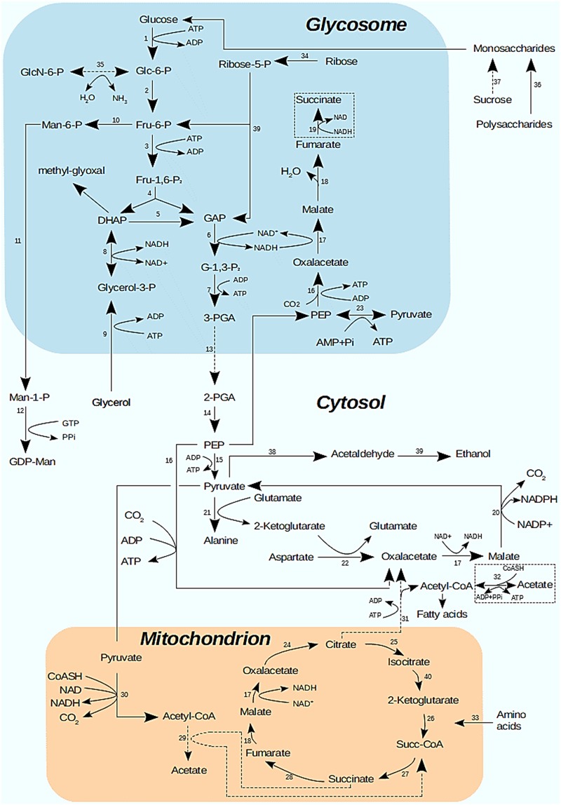 Fig 5