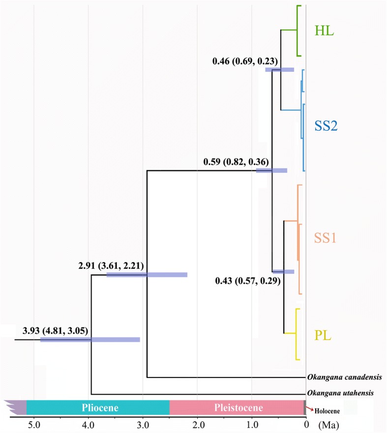 Fig. 4