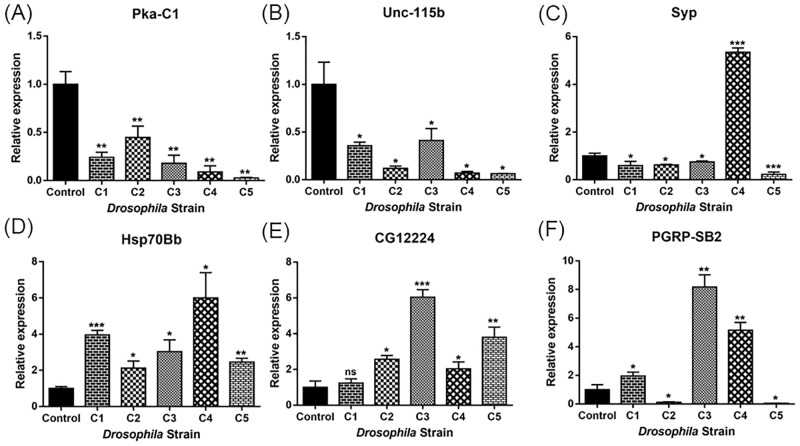 Fig 4