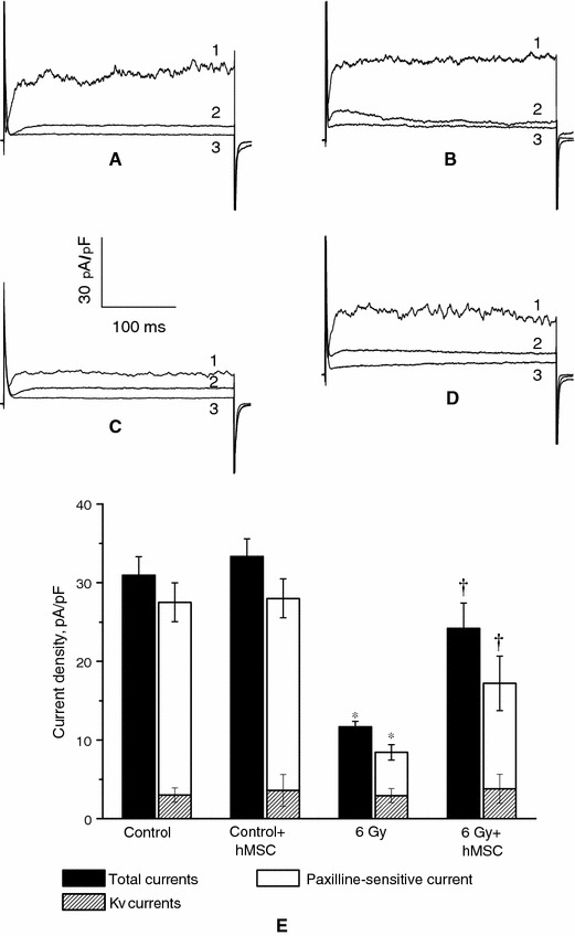 Fig. 4