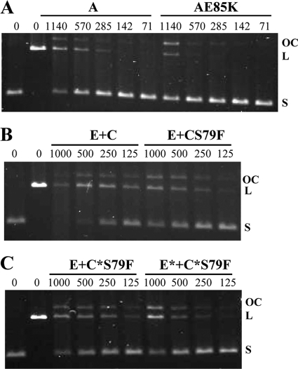 FIG. 3.