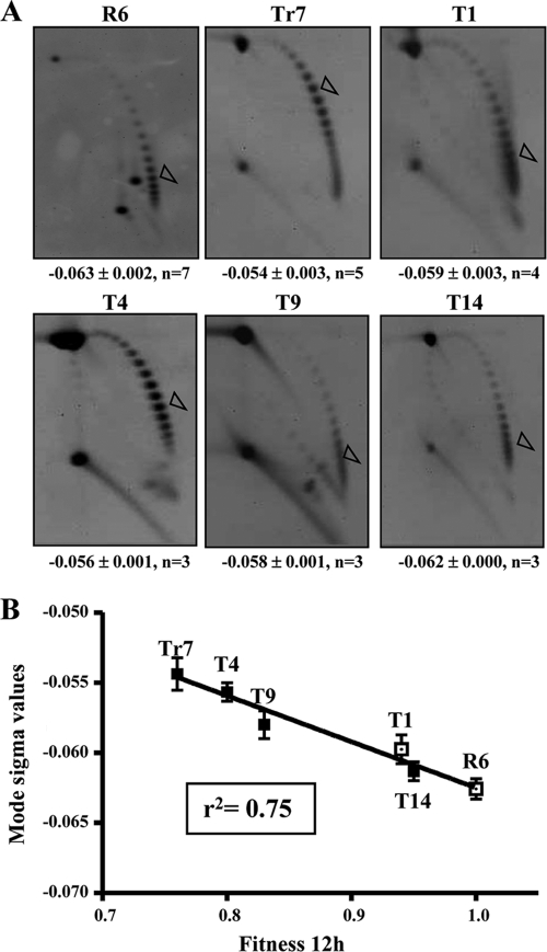 FIG. 4.