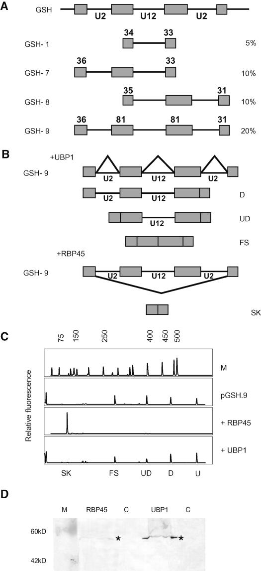 Figure 7.