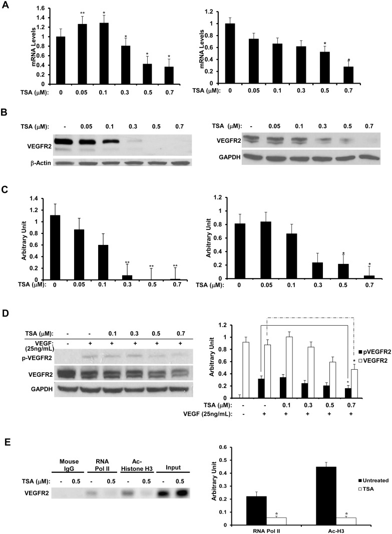 Fig 10