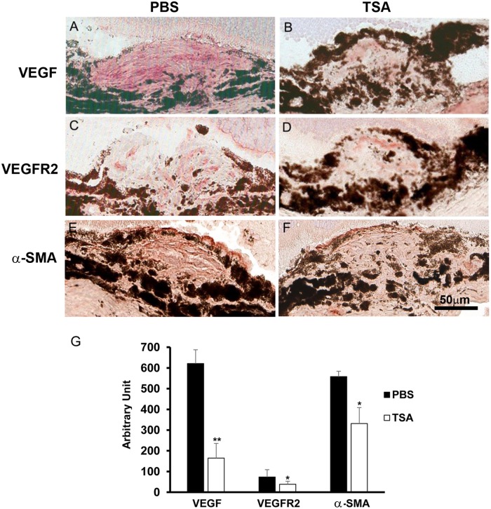 Fig 14