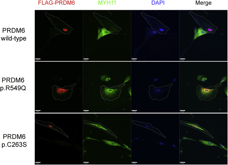 Figure 4