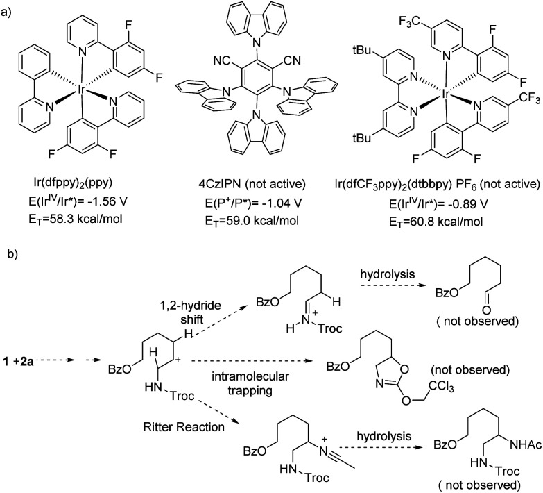 Scheme 2