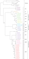 Fig. 2.