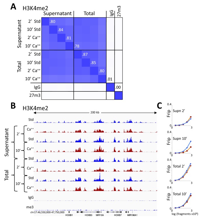 Figure 4—figure supplement 1.