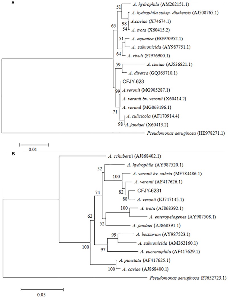 FIGURE 3