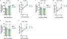 Figure 6—figure supplement 1.