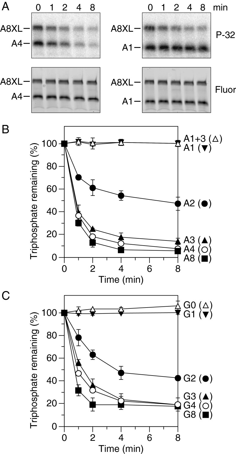 Fig. 2.