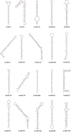 Supplementary Figure 1