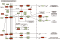 Supplementary Figure 4