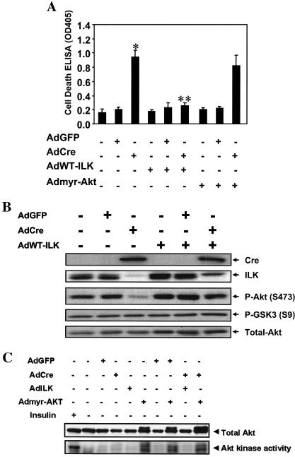 FIG. 8.