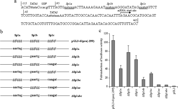 FIG. 2.