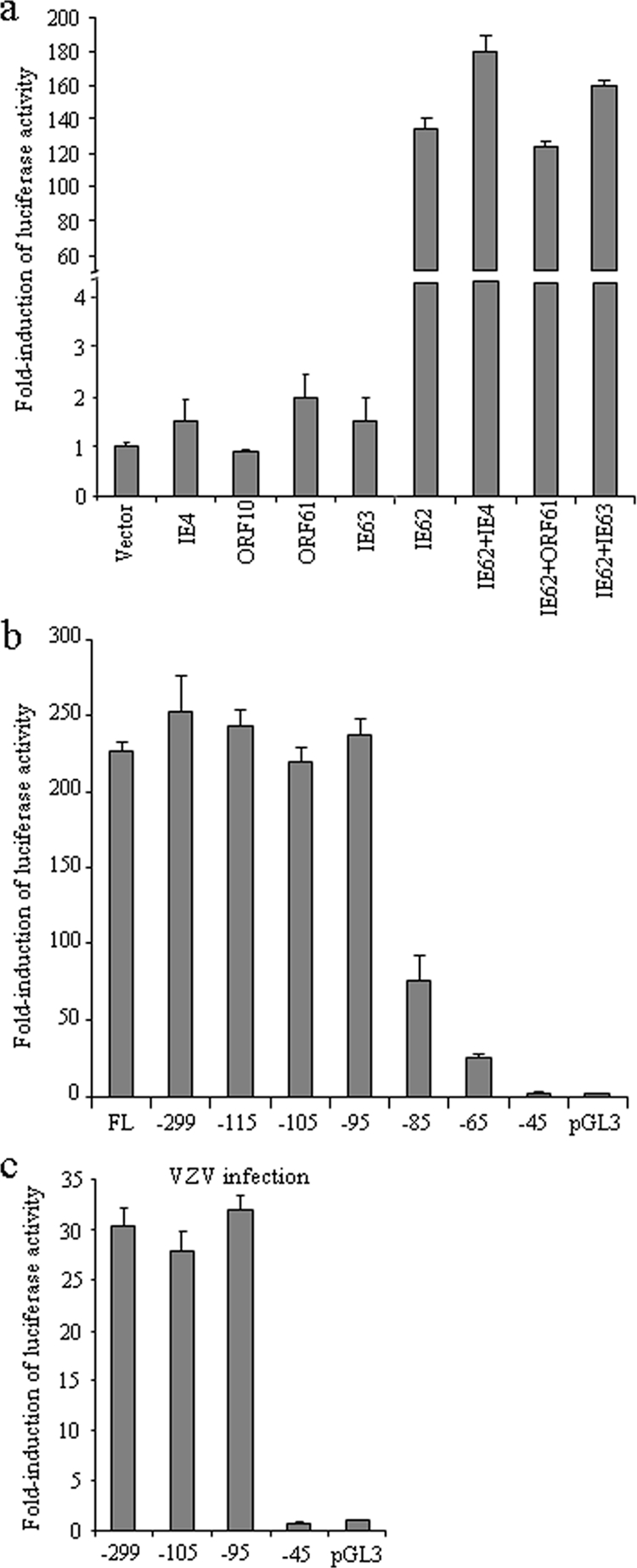 FIG. 1.