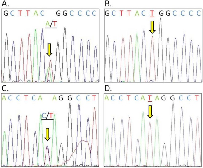 Figure 3.