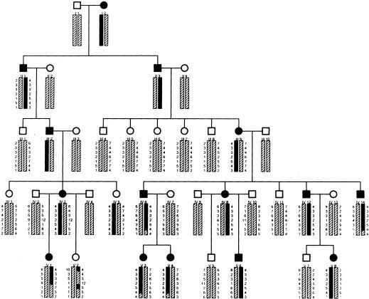 Figure  1