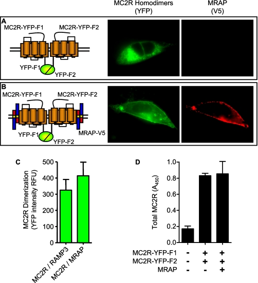 FIGURE 4.