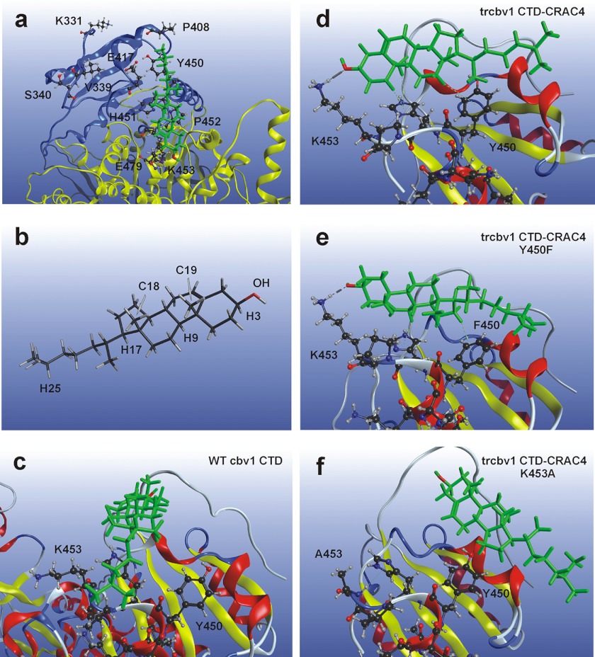 FIGURE 4.