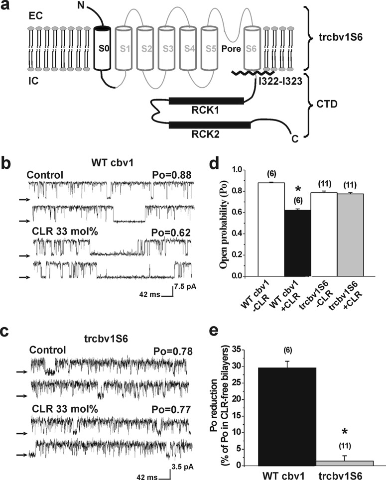 FIGURE 1.