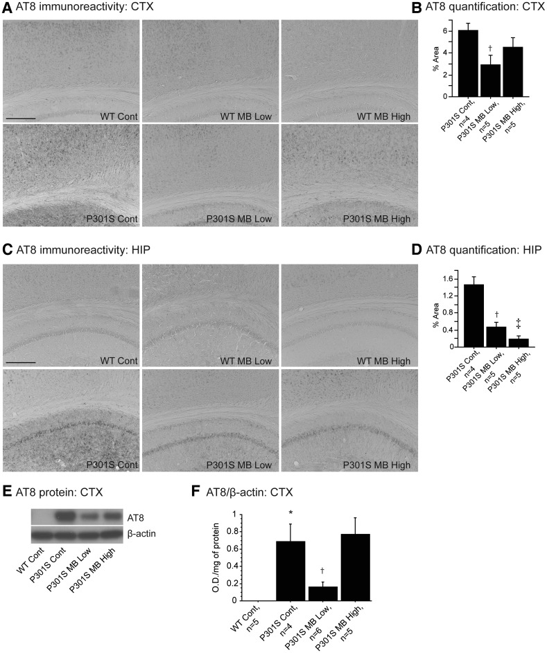 Figure 2.