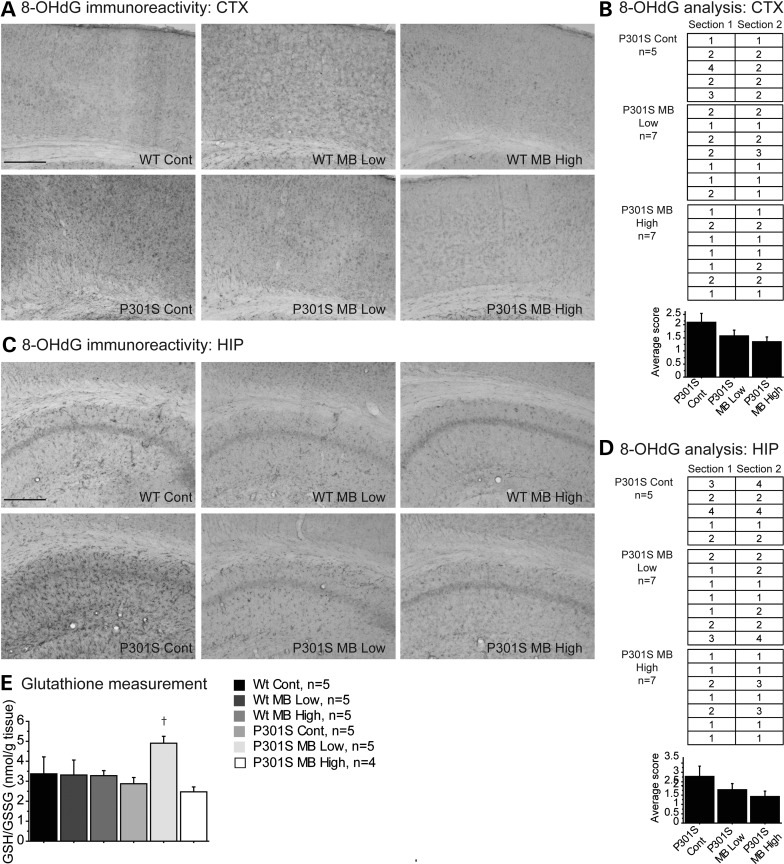 Figure 4.