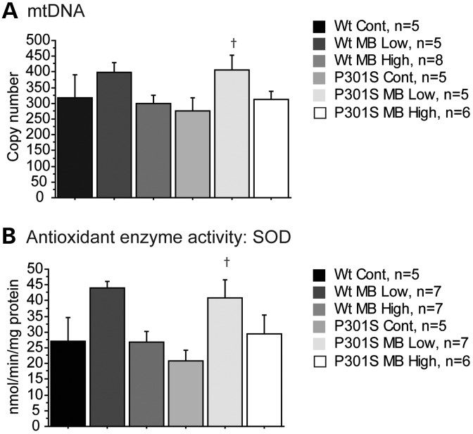 Figure 6.