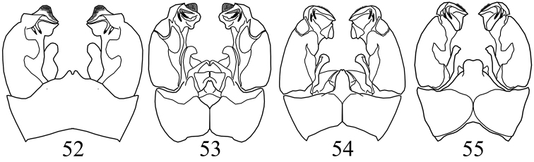 Figures 52–55.