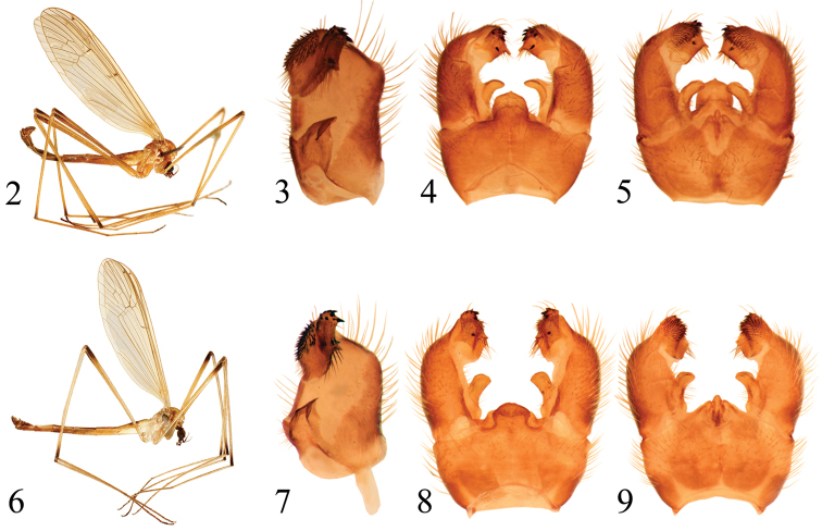 Figures 2–9.