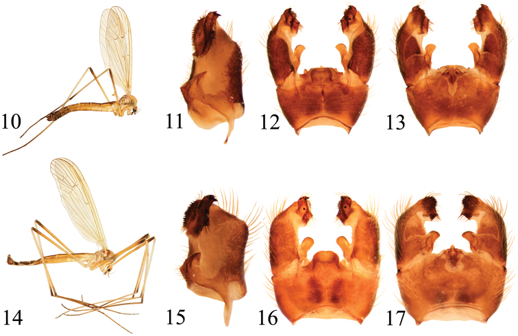 Figures 10–17.