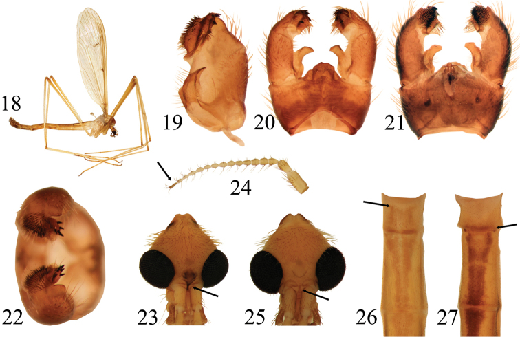 Figures 18–27.