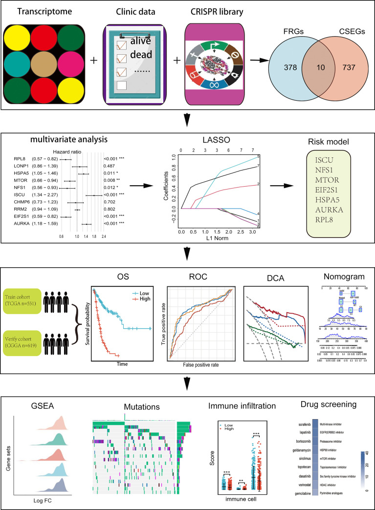 Figure 1