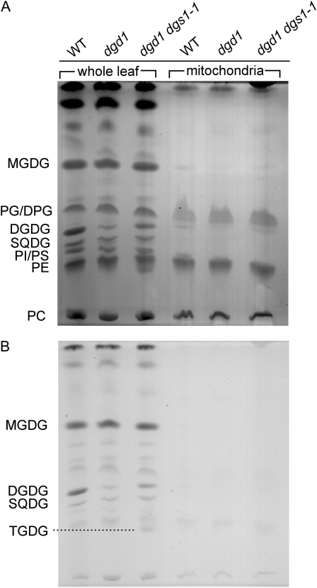 Figure 5.