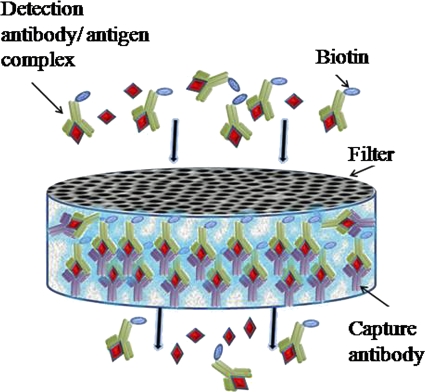 FIG. 1.