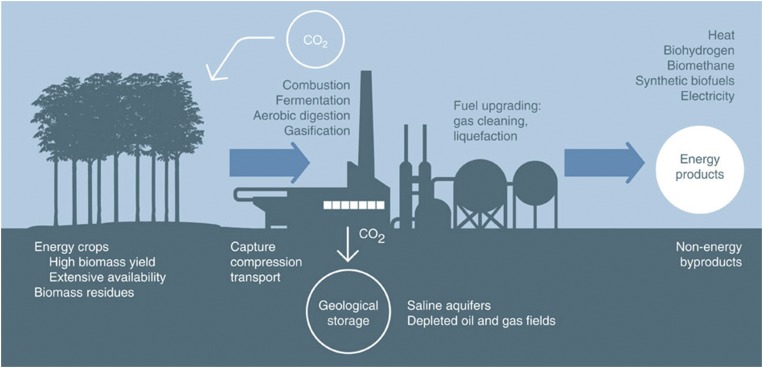 graphic file with name pnas.1617583113fig02.jpg