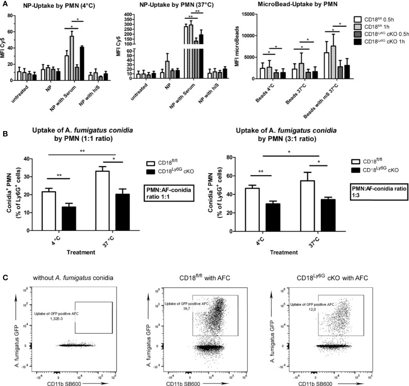 Figure 6