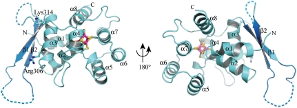 Fig. 1.