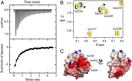 Fig. 3.