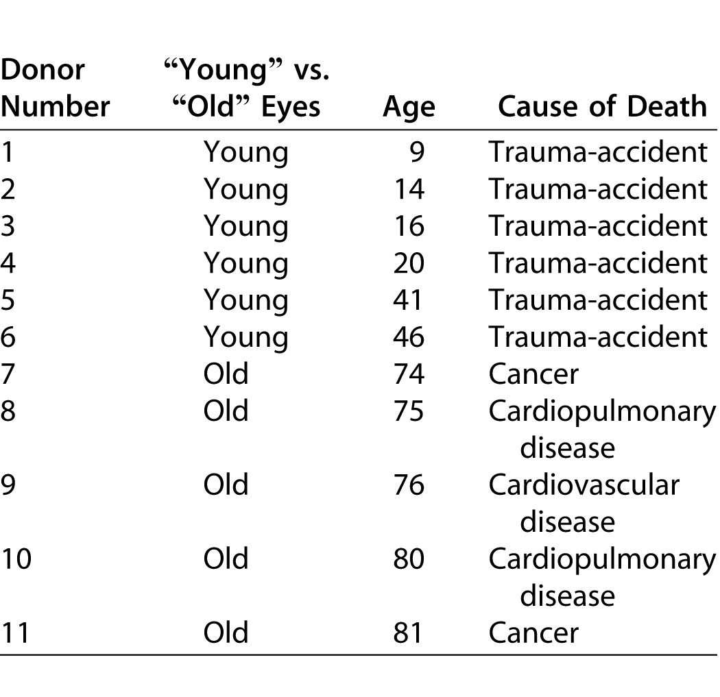 graphic file with name i2164-2591-4-5-10-t01.jpg