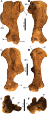 Figure 18