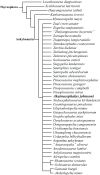 Figure 27