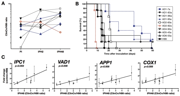 FIG 6 