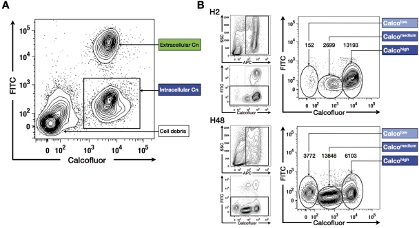 FIG 3 