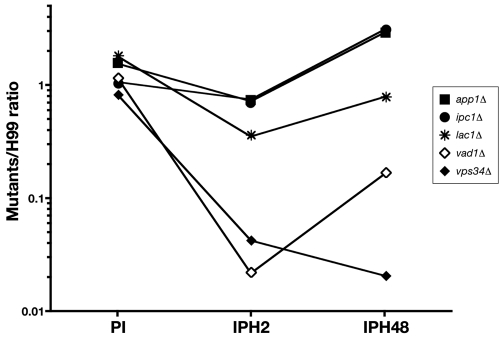 FIG 4 