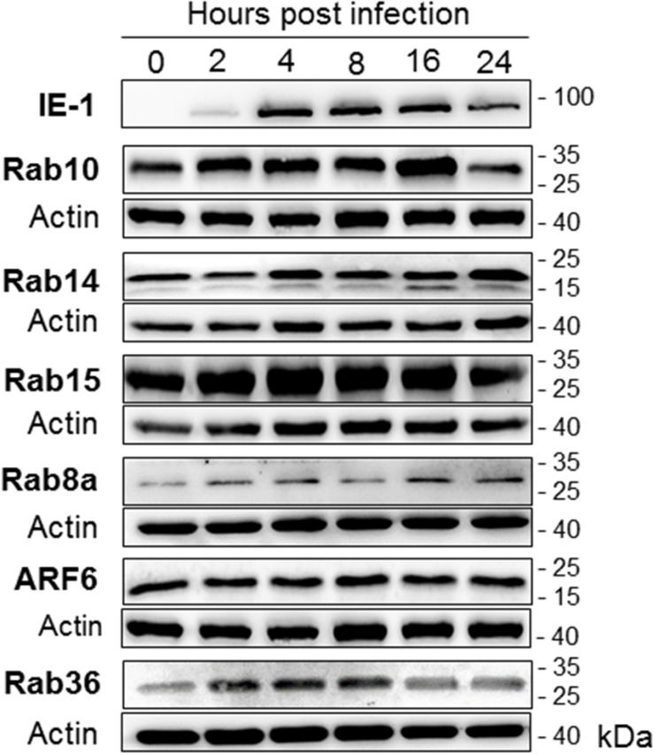 FIGURE 10