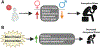 Fig. 7.