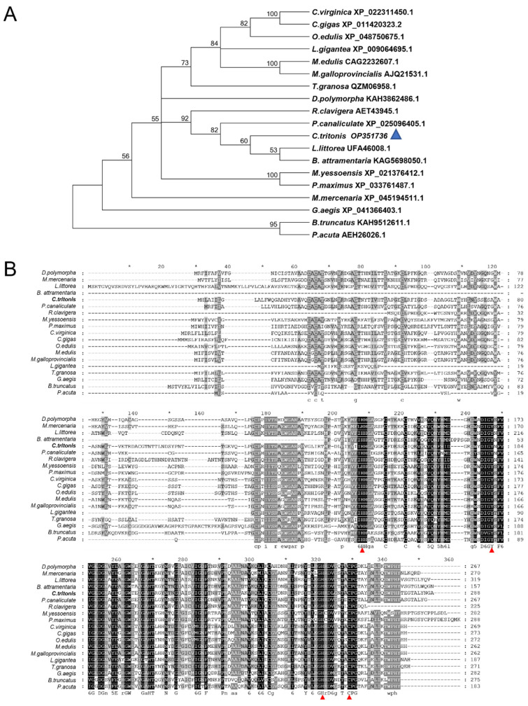 Figure 2